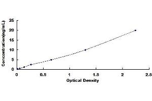 Tricellulin ELISA Kit