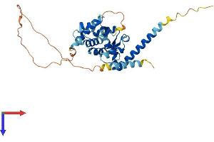 MAGEB18 Protein (AA 1-327) (His tag)