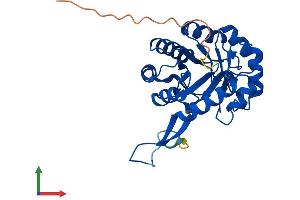 Protein Structure (PS) image for CutC Copper Transporter Homolog (CUTC) (AA 1-273) protein (His tag) (ABIN7546888)