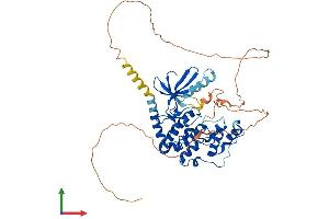 Protein Structure (PS) image for Cyclin Dependent Kinase Like 2 (CDKL2) (AA 1-493) protein (His tag) (ABIN7553162)