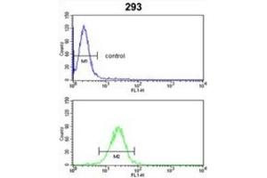 Flow Cytometry (FACS) image for anti-Cytochrome P450, Family 3, Subfamily A, Polypeptide 5 (CYP3A5) antibody (ABIN3003498) (CYP3A5 Antikörper)