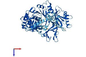 SLC27A2 Protein (AA 1-620) (His tag)