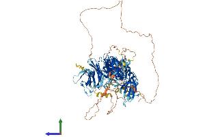 AlphaFold protein structure predicition of Human Recombinant MAP4K3 Protein, UniprotID Q8IVH8