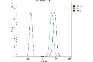 Flow Cytometry analysis of SiHa cells using anti-ARF6 antibody (ABIN4886473).