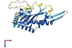 AlphaFold protein structure predicition of Human Recombinant C21orf140 Protein, UniprotID B9A014