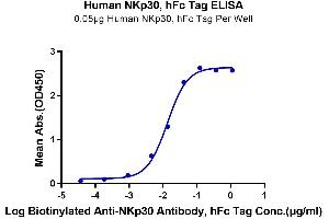 ELISA image for Natural Cytotoxicity Triggering Receptor 3 (NCR3) (AA 19-138) protein (Fc Tag) (ABIN7275350)