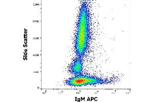 Flow cytometry surface staining pattern of human peripheral whole blood stained using anti-human IgM (CH2) APC antibody (concentration in sample 0,6 μg/mL). (Maus anti-Human IgM Antikörper (APC))