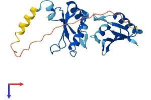 SNRPB2 Protein (AA 1-225) (His tag)