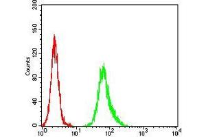 Flow cytometric analysis of Hela cells using ESR1 mouse mAb (green) and negative control (red). (Estrogen Receptor alpha Antikörper  (AA 2-185))