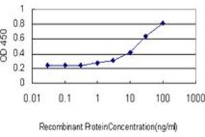 Detection limit for recombinant GST tagged TAP1 is approximately 3ng/ml as a capture antibody. (TAP1 Antikörper  (AA 241-350))