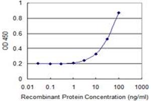 Detection limit for recombinant GST tagged SLC28A2 is 1 ng/ml as a capture antibody. (SLC28A2 Antikörper  (AA 1-79))