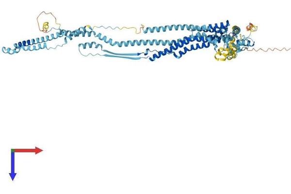 DCST1 Protein (AA 1-706) (His tag)
