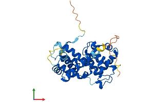 AlphaFold protein structure predicition of Mouse Recombinant Ccnd2 Protein, UniprotID P30280