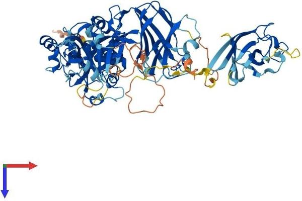 CAPN10 Protein (AA 1-672) (His tag)