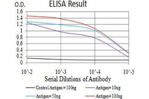 Black line: Control Antigen (100 ng);Purple line: Antigen (10ng); Blue line: Antigen (50 ng); Red line:Antigen (100 ng) (CPV-VP2 (AA 1-128) Antikörper)