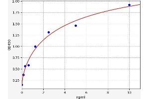 SMAD3 ELISA Kit