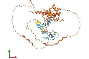 AlphaFold protein structure predicition of Human Recombinant ZBTB42 Protein, UniprotID B2RXF5