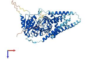HAS1 Protein (AA 1-578) (His tag)