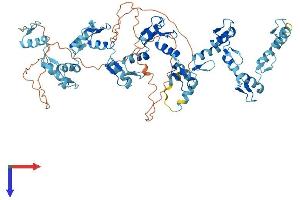 ZNF23 Protein (AA 1-643) (His tag)