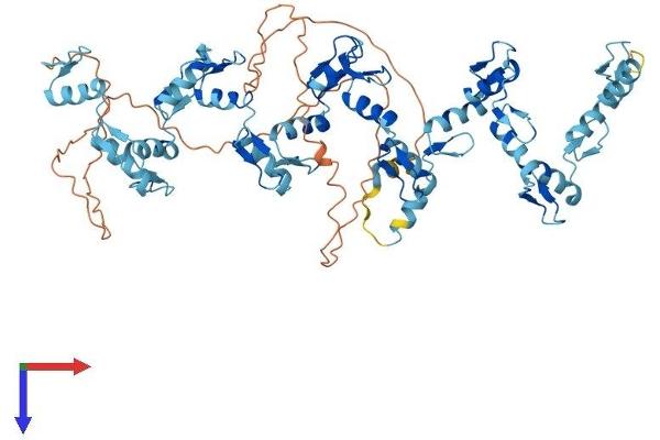 ZNF23 Protein (AA 1-643) (His tag)