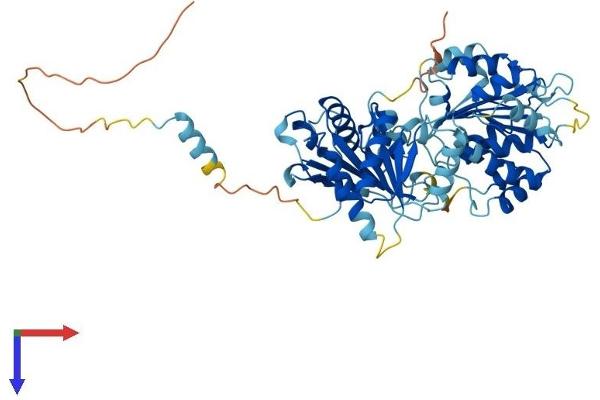 DDX28 Protein (AA 1-540) (His tag)
