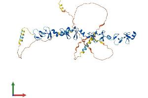 AlphaFold protein structure predicition of Human Recombinant TGFB1I1 Protein, UniprotID O43294