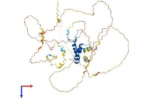 SOX10 Protein (AA 1-466) (His tag)