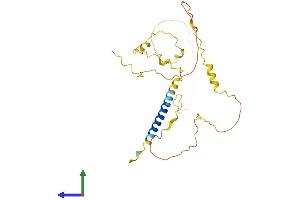 AlphaFold protein structure predicition of Mouse Recombinant Lime1 Protein, UniprotID Q9EQR5