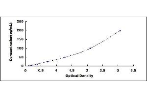 ELISA image for Secreted phosphoprotein 1 (SPP1) ELISA Kit (ABIN4947920)