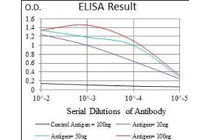 Black line: Control Antigen (100 ng), Purple line: Antigen(10 ng), Blue line: Antigen (50 ng), Red line: Antigen (100 ng), (Fc epsilon RI/FCER1A Antikörper  (AA 42-103))