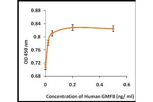 Activity Assay (AcA) image for Glia Maturation Factor, beta (GMFB) (Active) protein (ABIN5509463) (GMFB Protein)