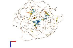 MBD5 Protein (AA 1-1498) (His tag)