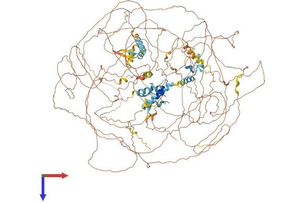 MBD5 Protein (AA 1-1498) (His tag)