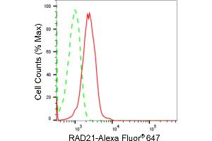 Flow cytometric analysis of RAD21 expression in HepG2 cells using RAD21 antibody (ABIN7800115), 1:2,000). (Rekombinanter RAD21 Antikörper)