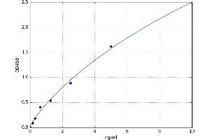 Protein Kinase C, delta (PKCd) ELISA Kit