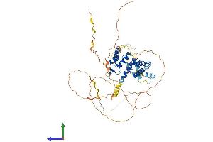 Protein Structure (PS) image for Paired Box 7 (PAX7) (AA 1-505) protein (His tag) (ABIN7550577)