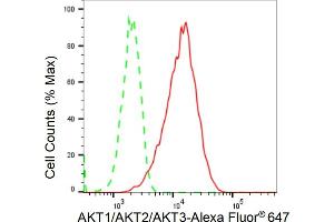 anti-AKT 1/2/3 antibody