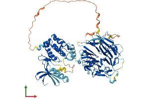 Protein Structure (PS) image for NIMA-Related Kinase 8 (NEK8) (AA 1-698) protein (His tag) (ABIN7560155)