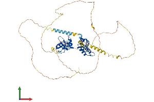 AlphaFold protein structure predicition of Mouse Recombinant Psip1 Protein, UniprotID Q99JF8