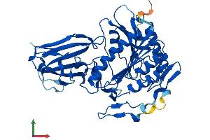 AlphaFold protein structure predicition of Human Recombinant BAAT Protein, UniprotID Q14032