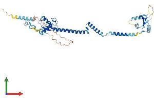 Protein Structure (PS) image for Ring Finger Protein 32 (RNF32) (AA 1-362) protein (His tag) (ABIN7551473)