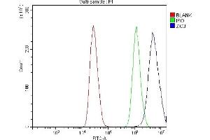 Flow Cytometry analysis of MCF-7 cells using anti-ZIC3 antibody (ABIN7599755). (ZIC3 Antikörper  (AA 113-455))