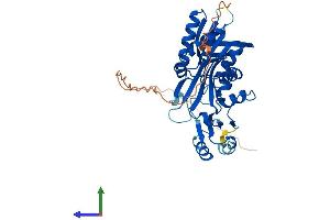 Protein Structure (PS) image for Ribosomal Modification Protein RimK-Like Family Member A (RIMKLA) (AA 1-380) protein (His tag) (ABIN7558068)