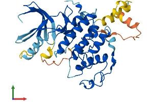 Protein Structure (PS) image for Cyclin-Dependent Kinase 2 (CDK2) (AA 1-346) protein (His tag) (ABIN7563545)