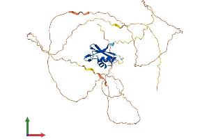 Protein Structure (PS) image for RNA Binding Motif Protein 9 (RBM9) (AA 1-449) protein (His tag) (ABIN7558797)