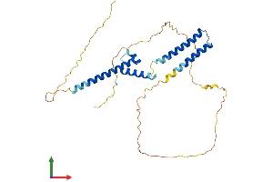 Protein Structure (PS) image for Ha-Ry/enhancer-of-Split Related with YRPW Motif 1 (HEY1) (AA 1-304) protein (His tag) (ABIN7554114)