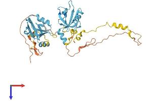 SLC9A3R2 Protein (AA 1-337) (His tag)