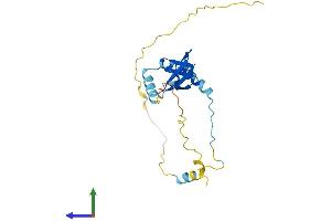 Protein Structure (PS) image for Basic Transcription Factor 3 (BTF3) (AA 1-206) protein (His tag) (ABIN7552817)