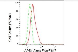 Flow cytometric analysis of APE1 expression in HT- cells using APE1 antibody (ABIN7797636), 1:2,000). (Rekombinanter APEX1 Antikörper)