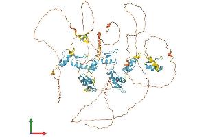 AlphaFold protein structure predicition of Human Recombinant ZXDB Protein, UniprotID P98169